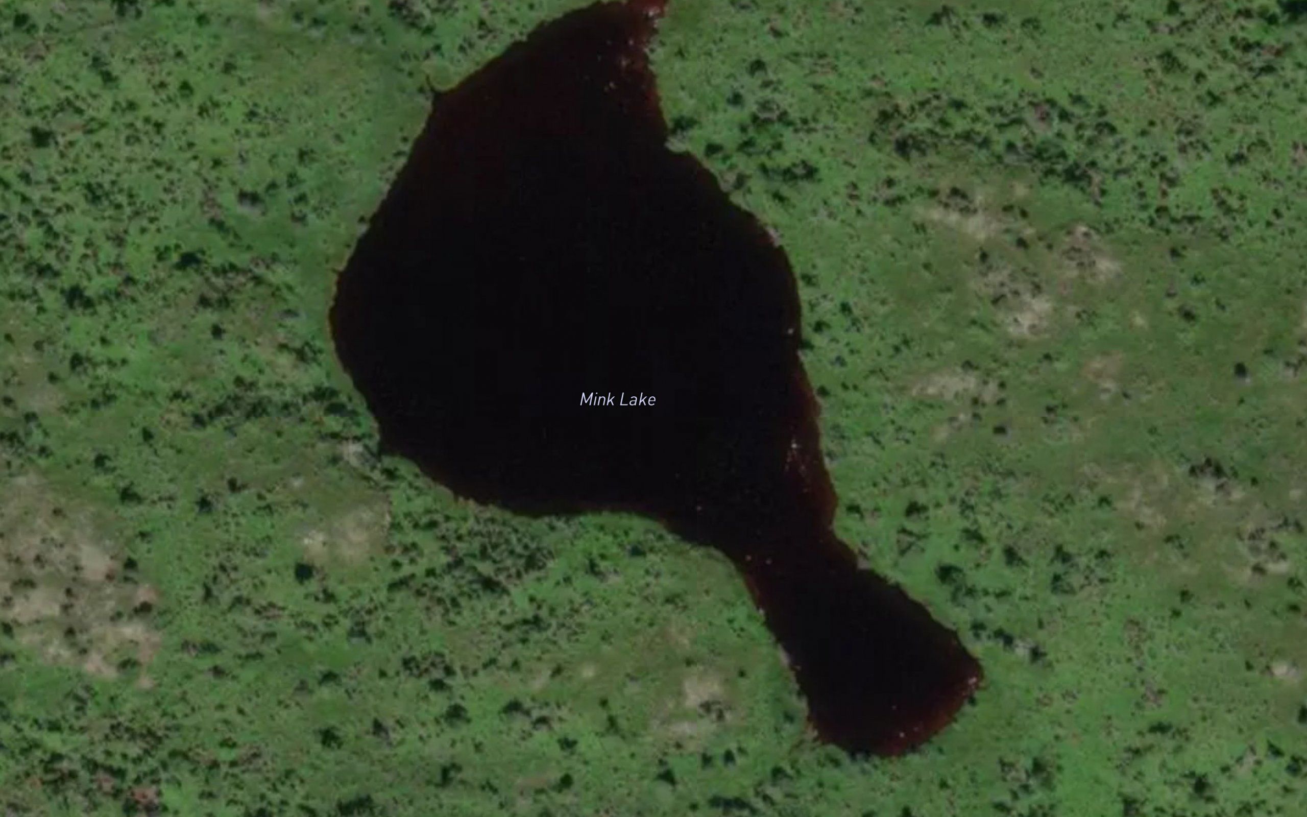 Mink Lake