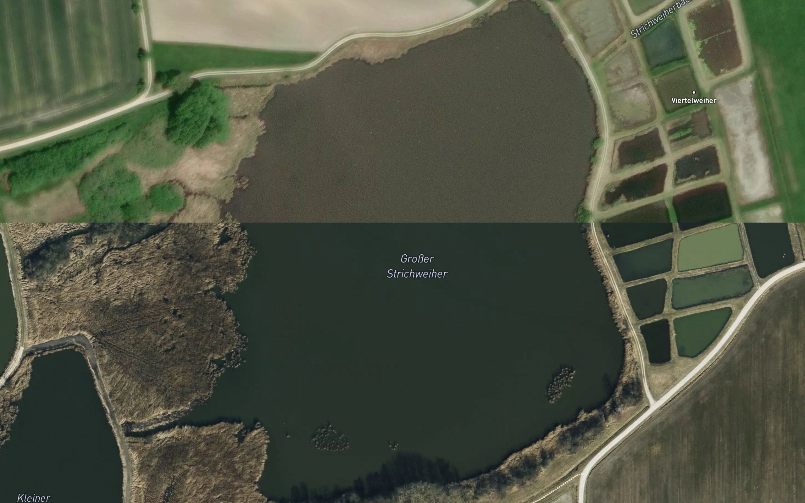Grosser Strichweiher