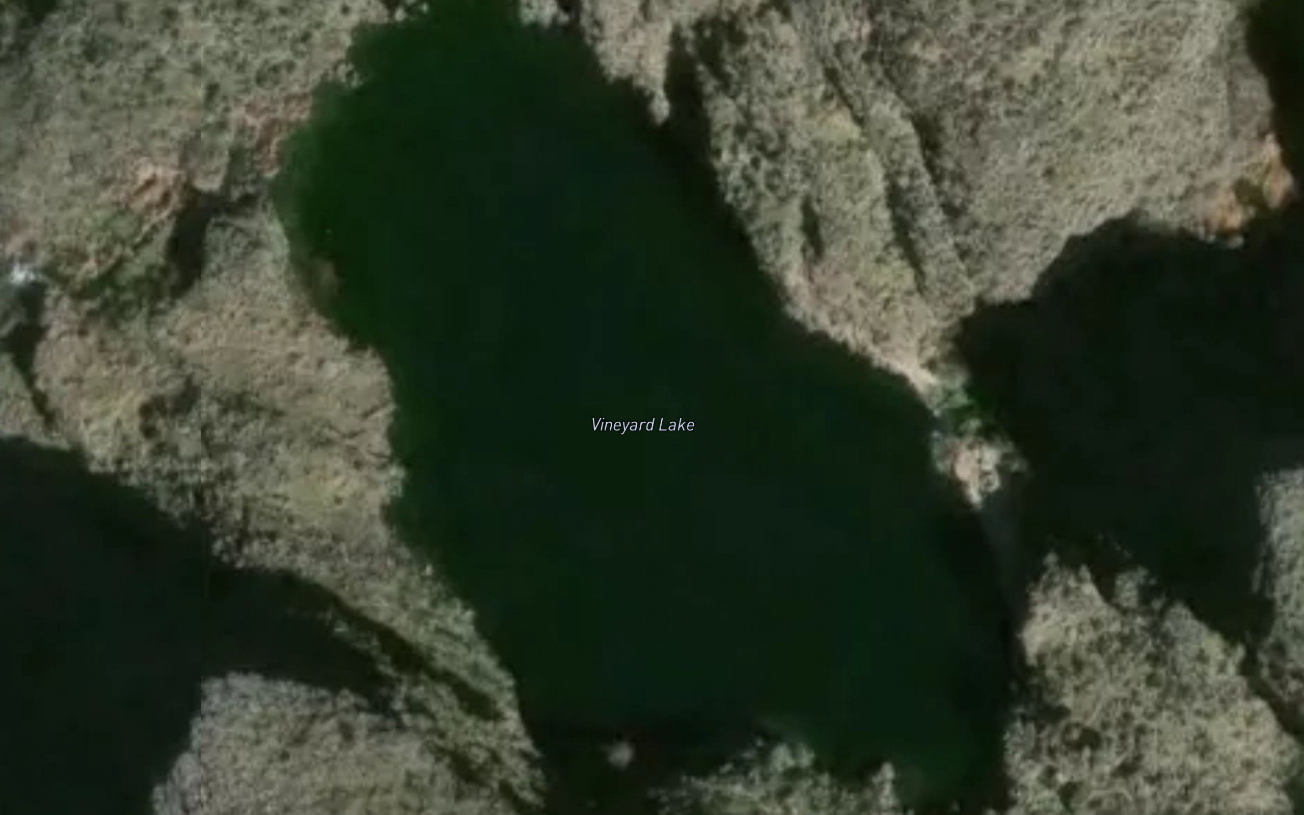 Vineyard Lake