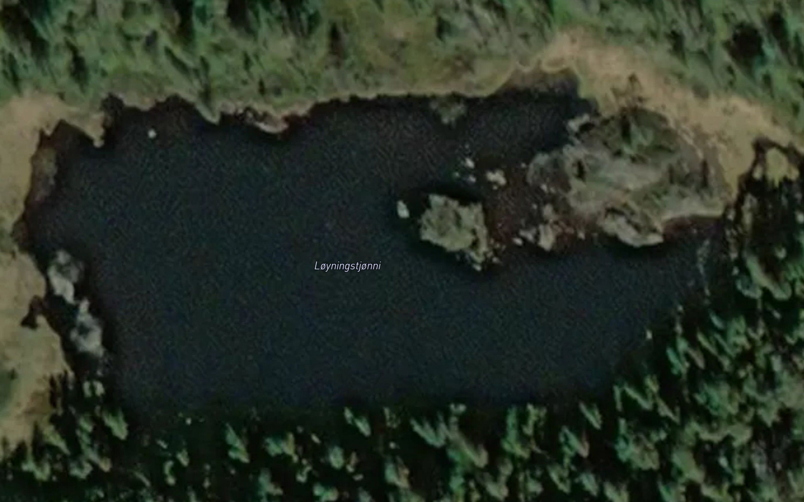 Loyningstjorn