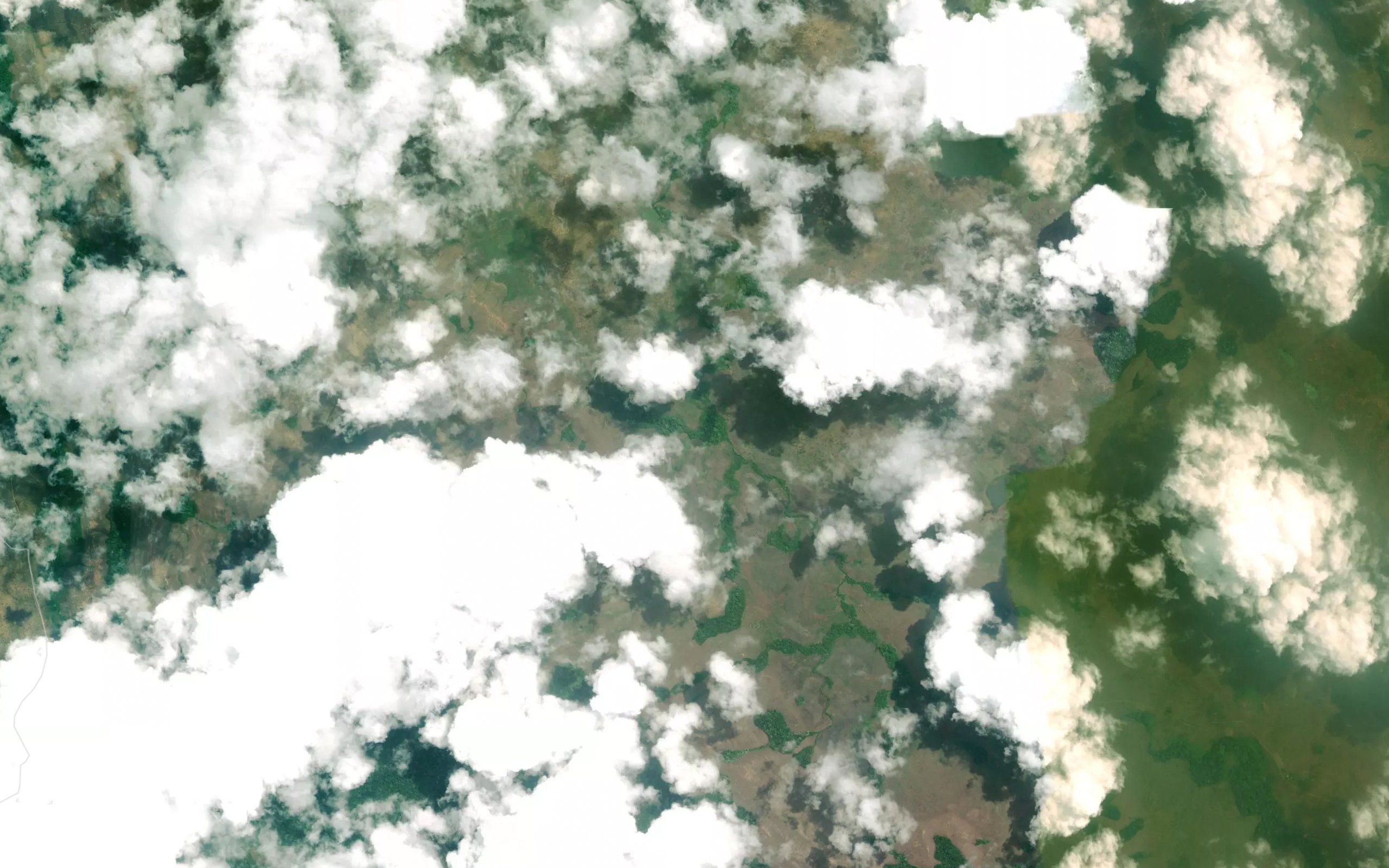 Makoumba