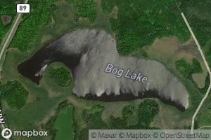 Bog Lake