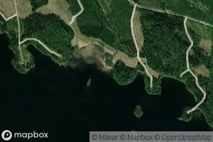 Koivupuro
