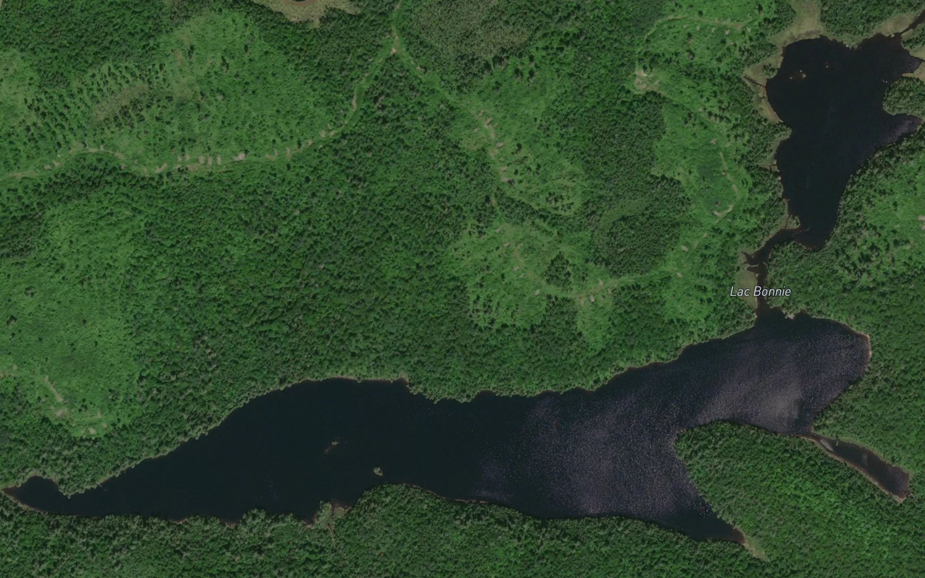 Satellite map of the Lac Bonnie
