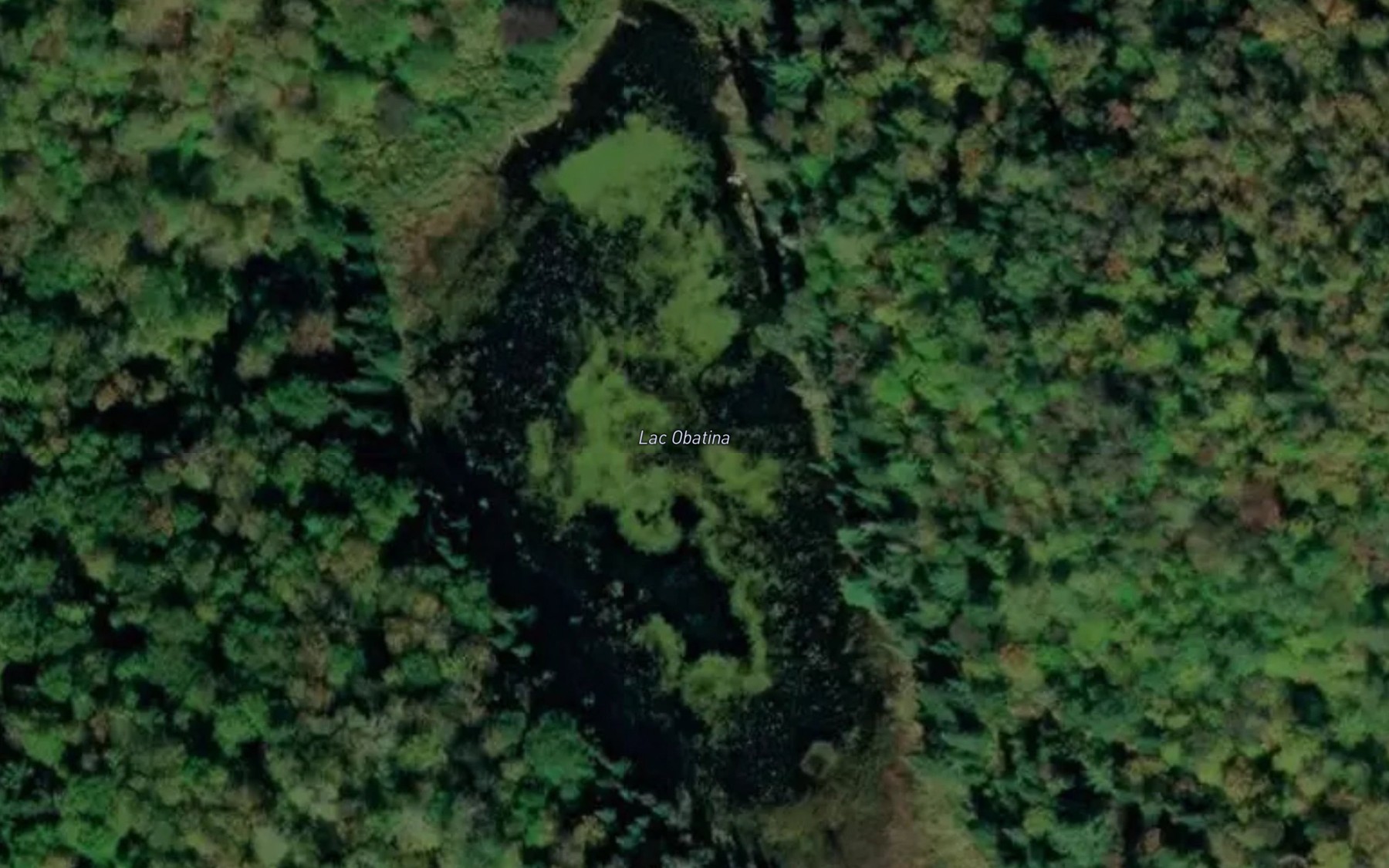 Satellite map of the Lac Obatina