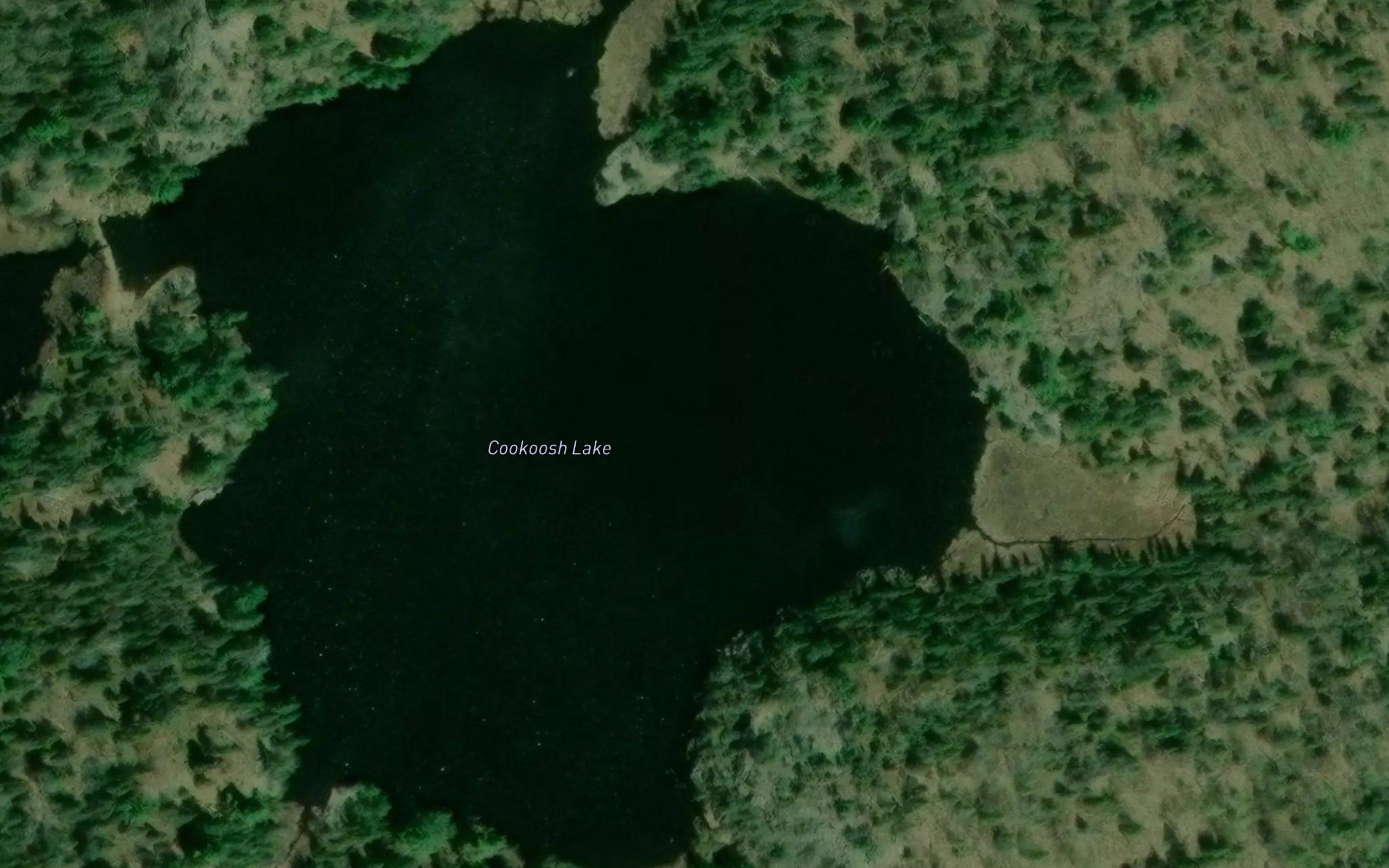 Cookoosh Lake