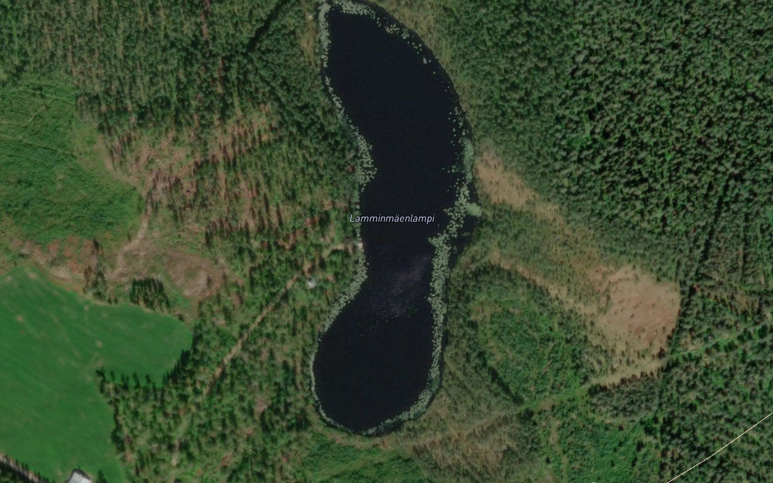 Lamminmaenlampi