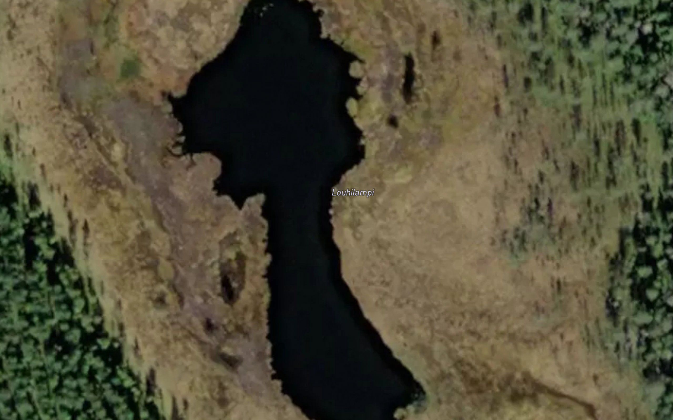 Louhilampi