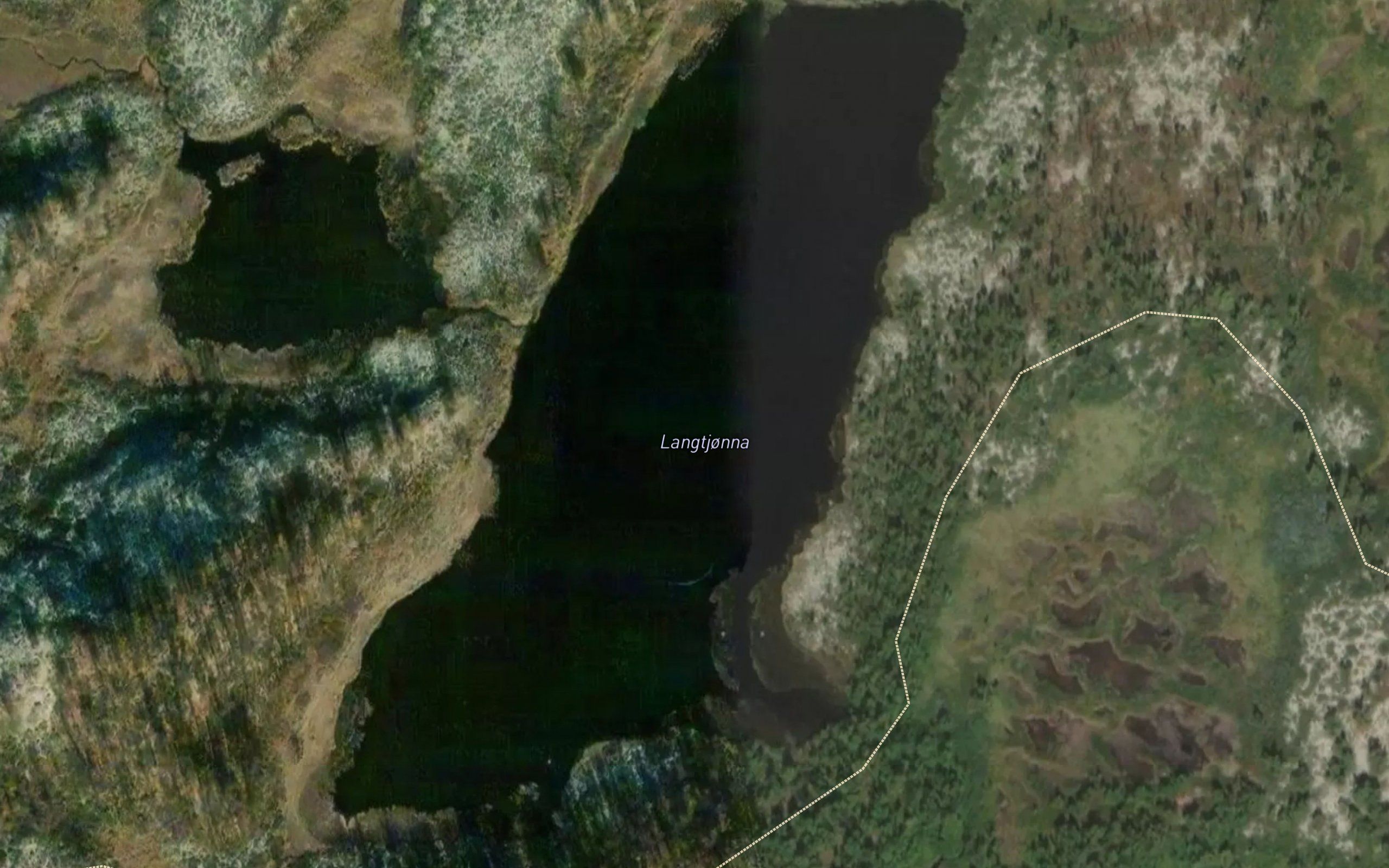 Langtjorna
