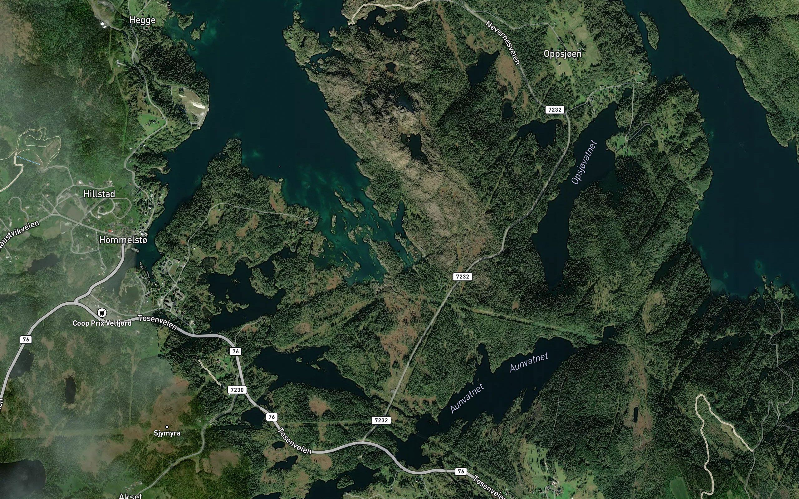 Engesvikja
