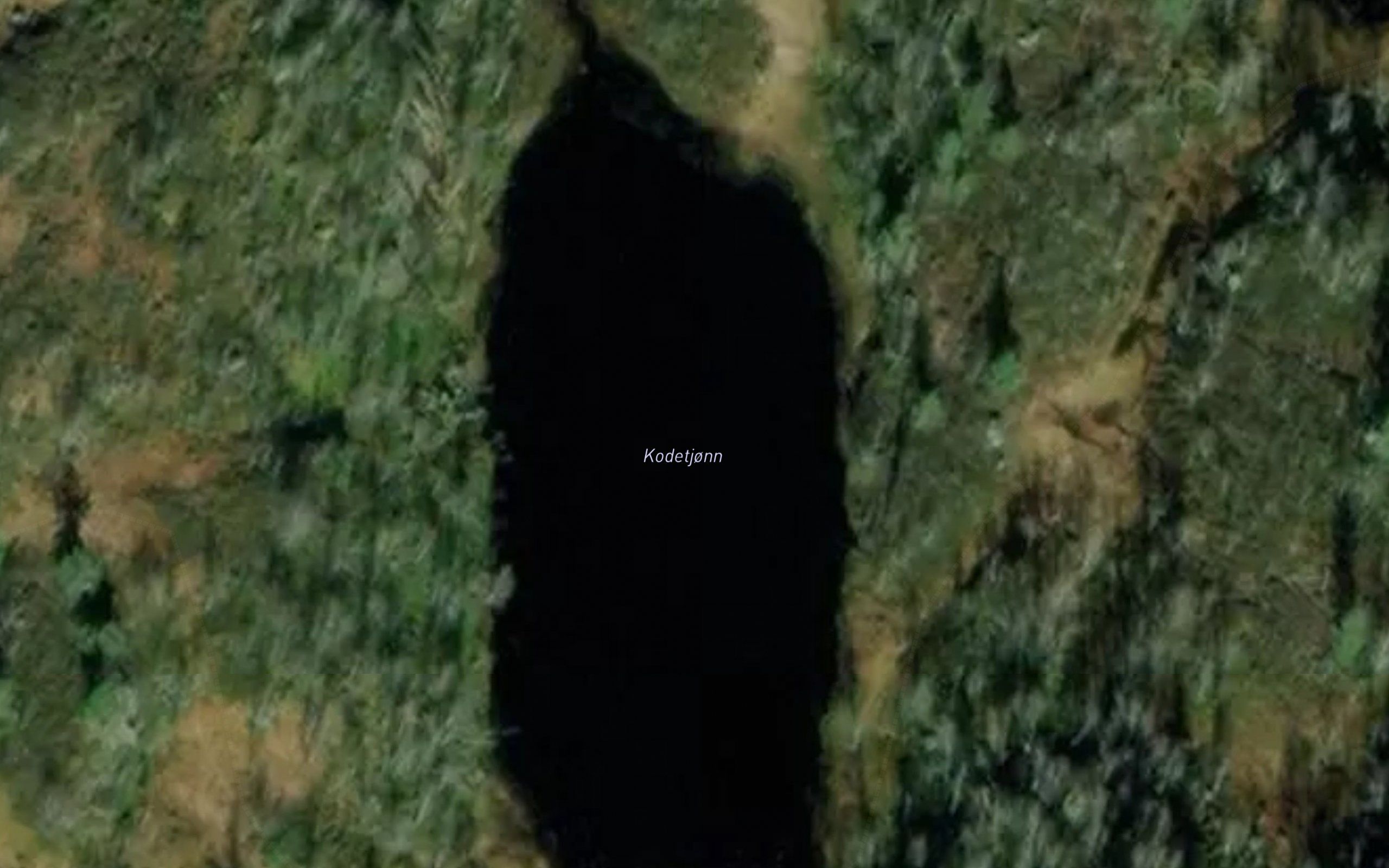 Kodetjonn