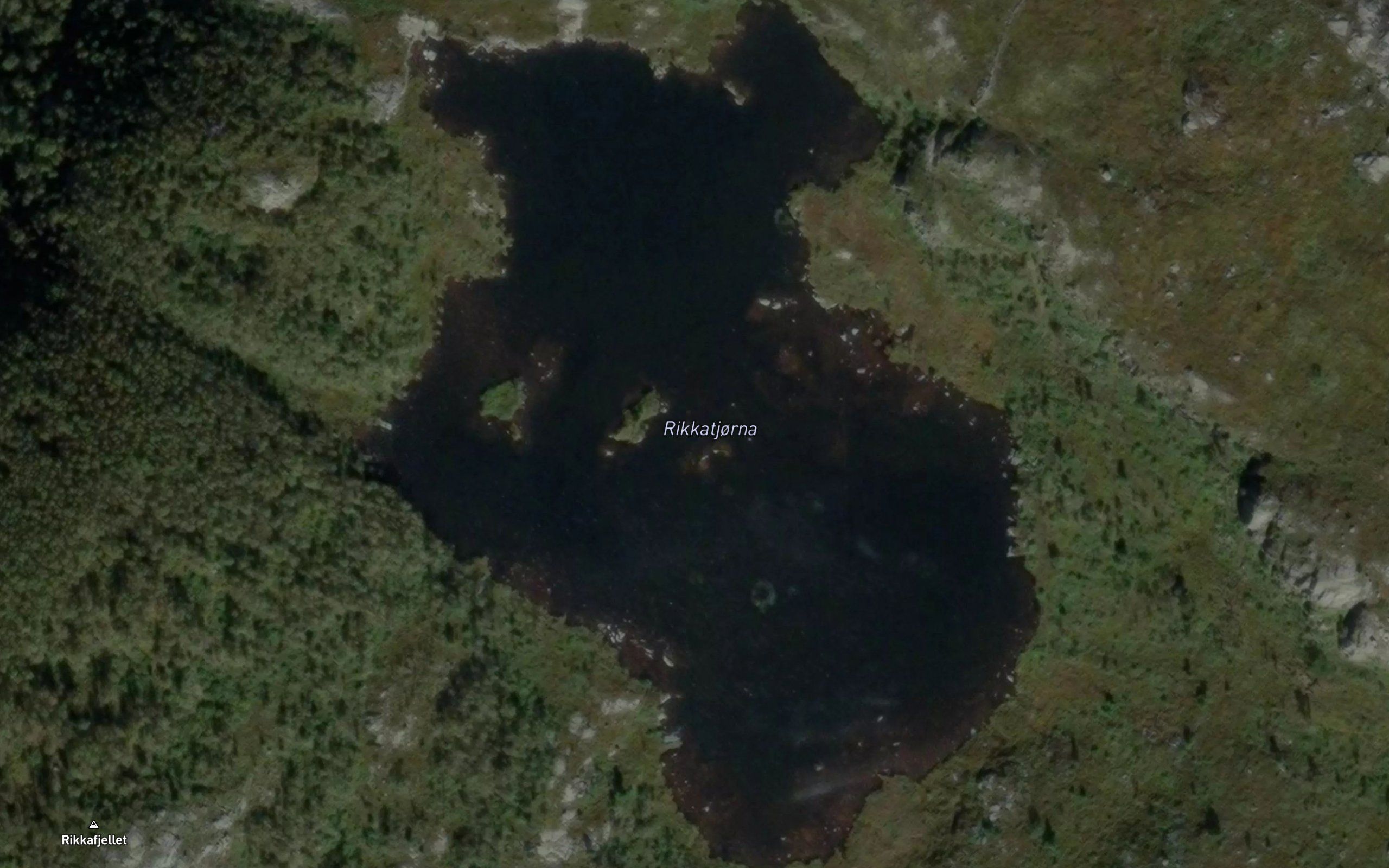 Rikkatjorna