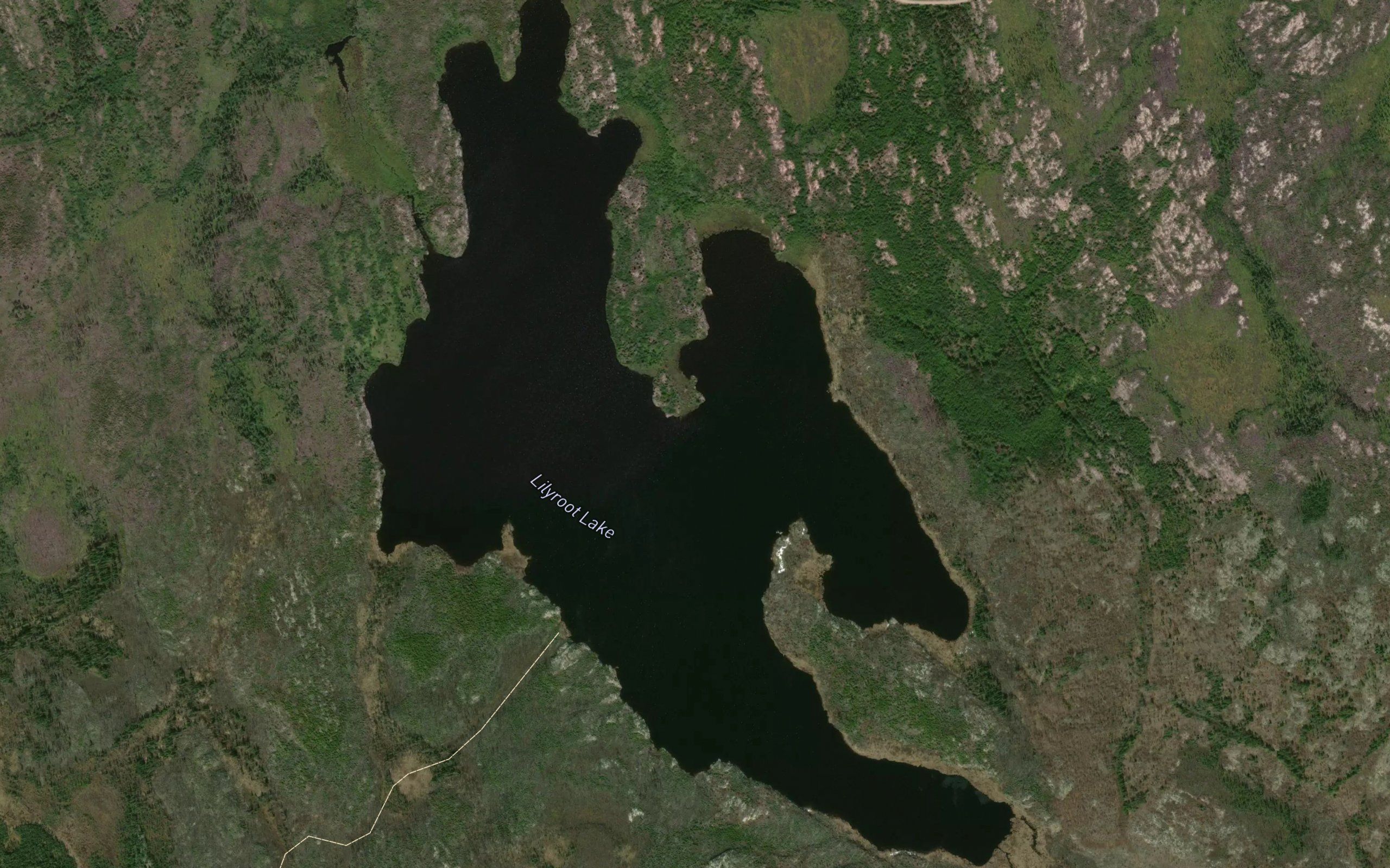 Lilyroot Lake