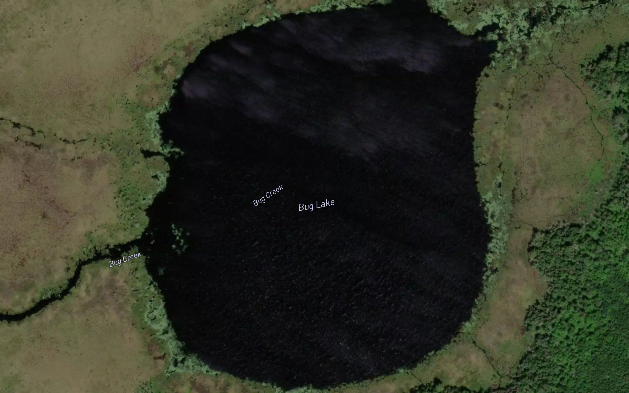 Bug Lake