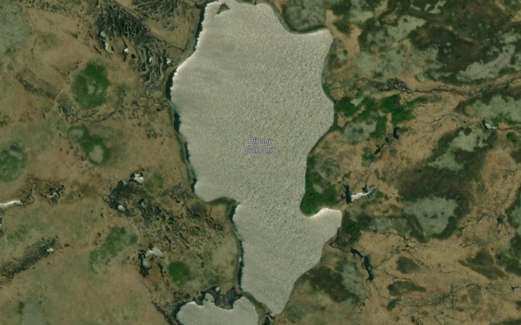 Satellite map of the Bloomy Gull Pond
