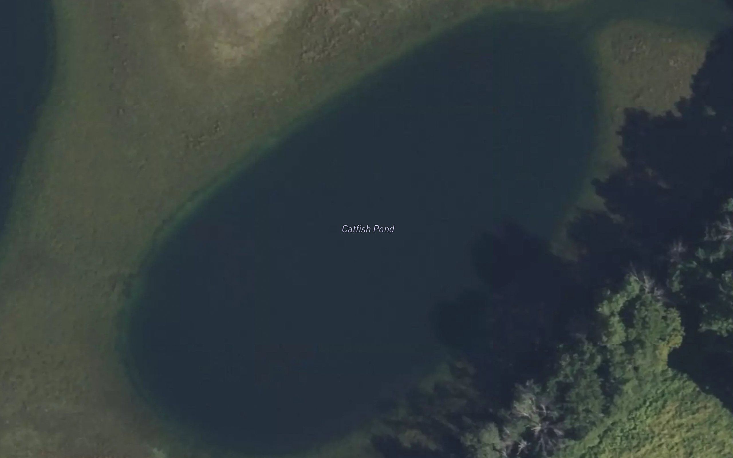 Catfish Pond
