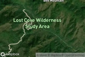 Little Lost Cove Creek