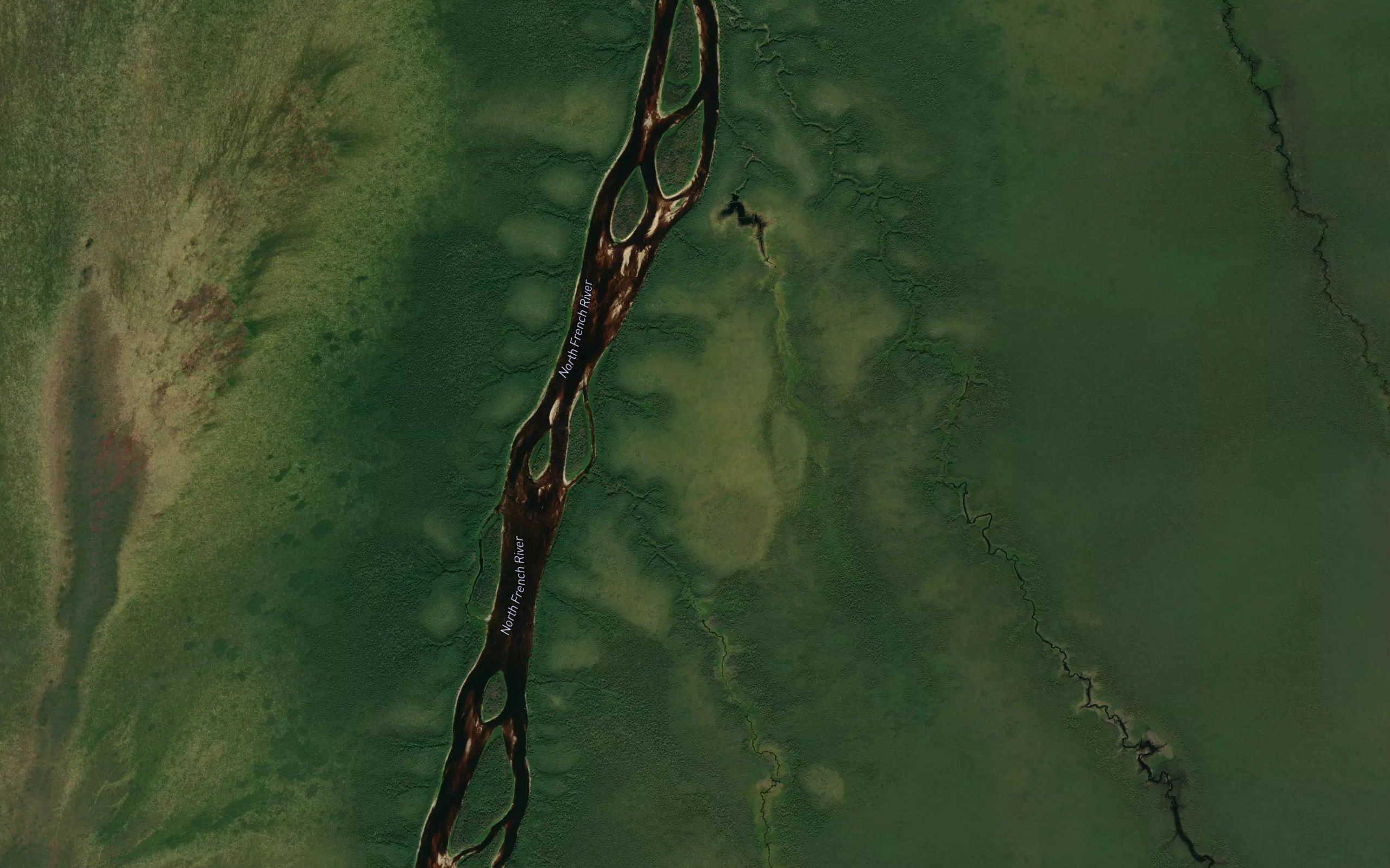 Pakwau Rapids