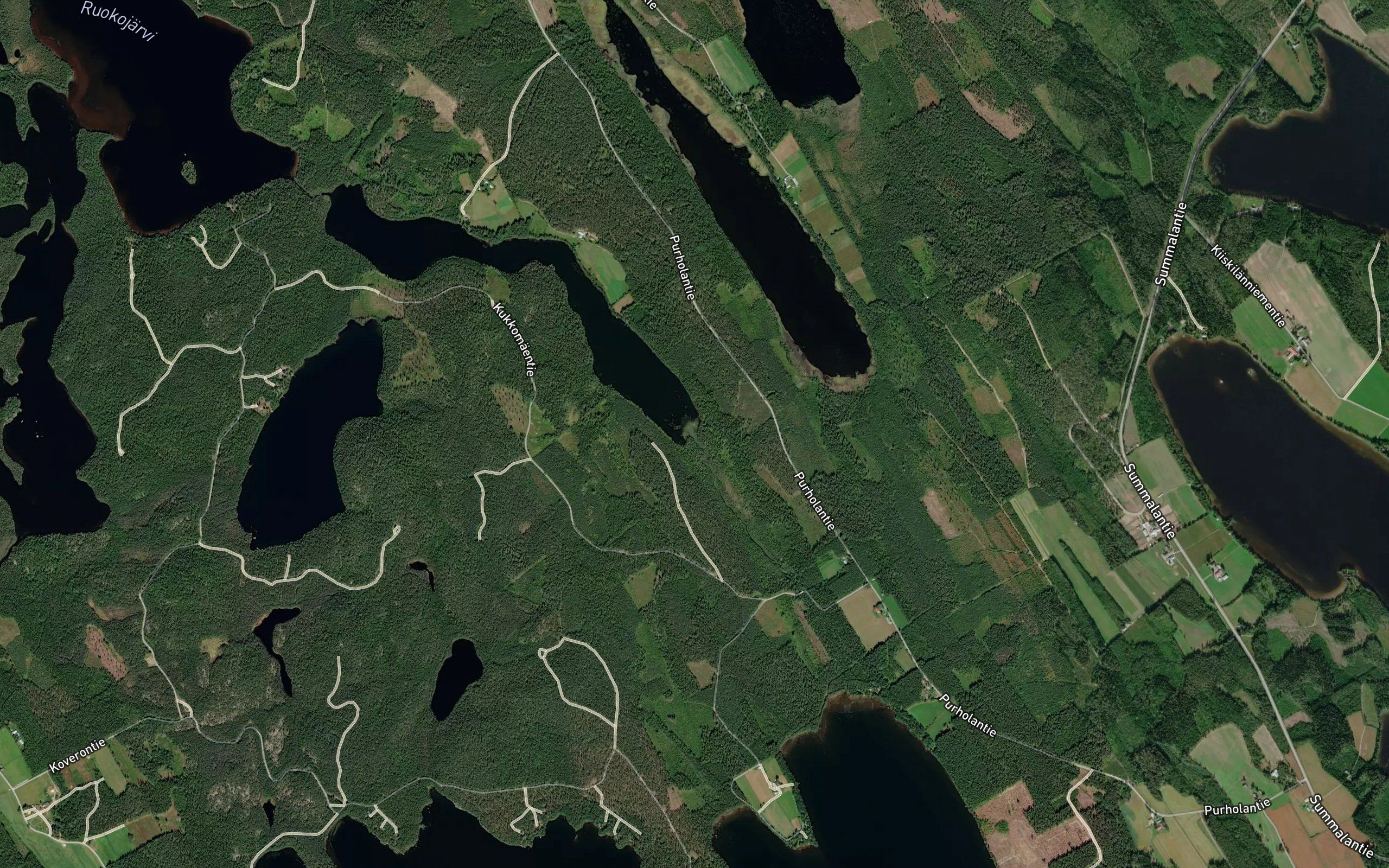 Purholanjoki