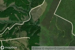 Narrow Divide Branch