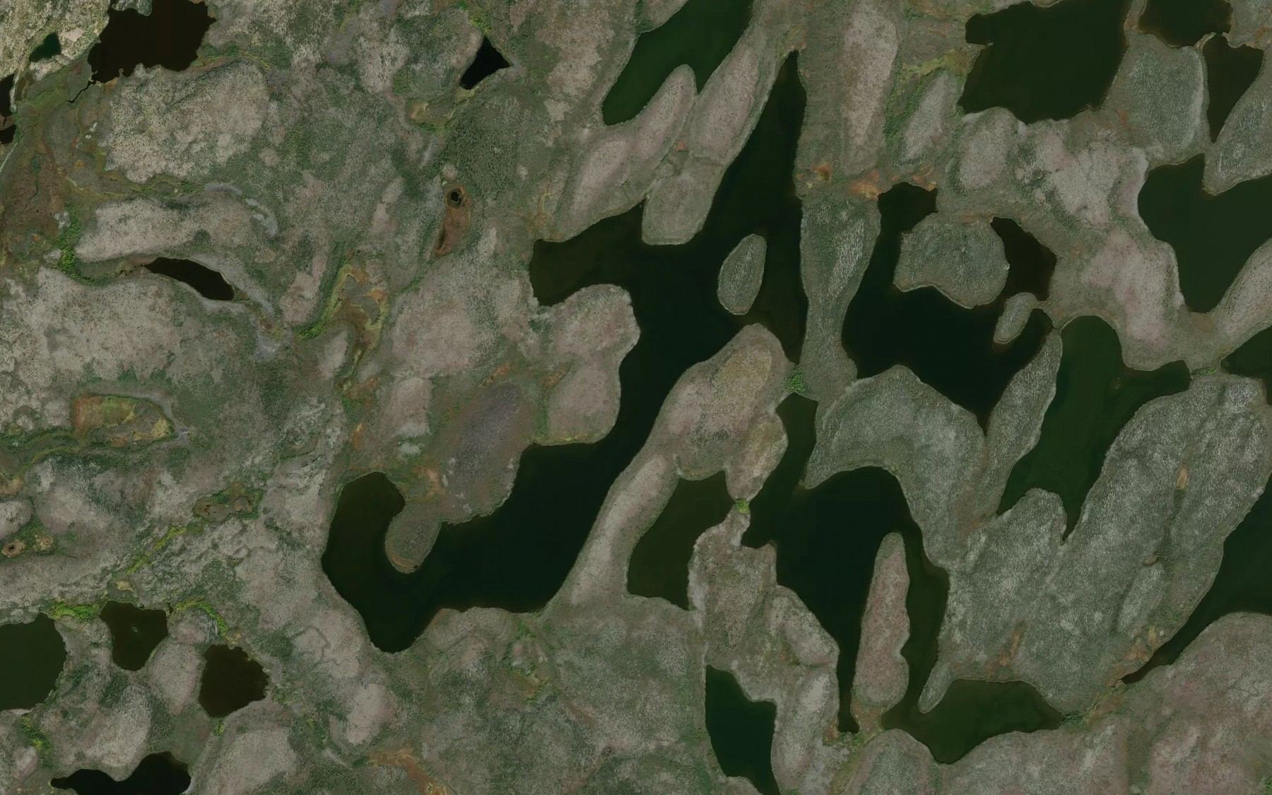 Satellite map of the Albert Woods Lake