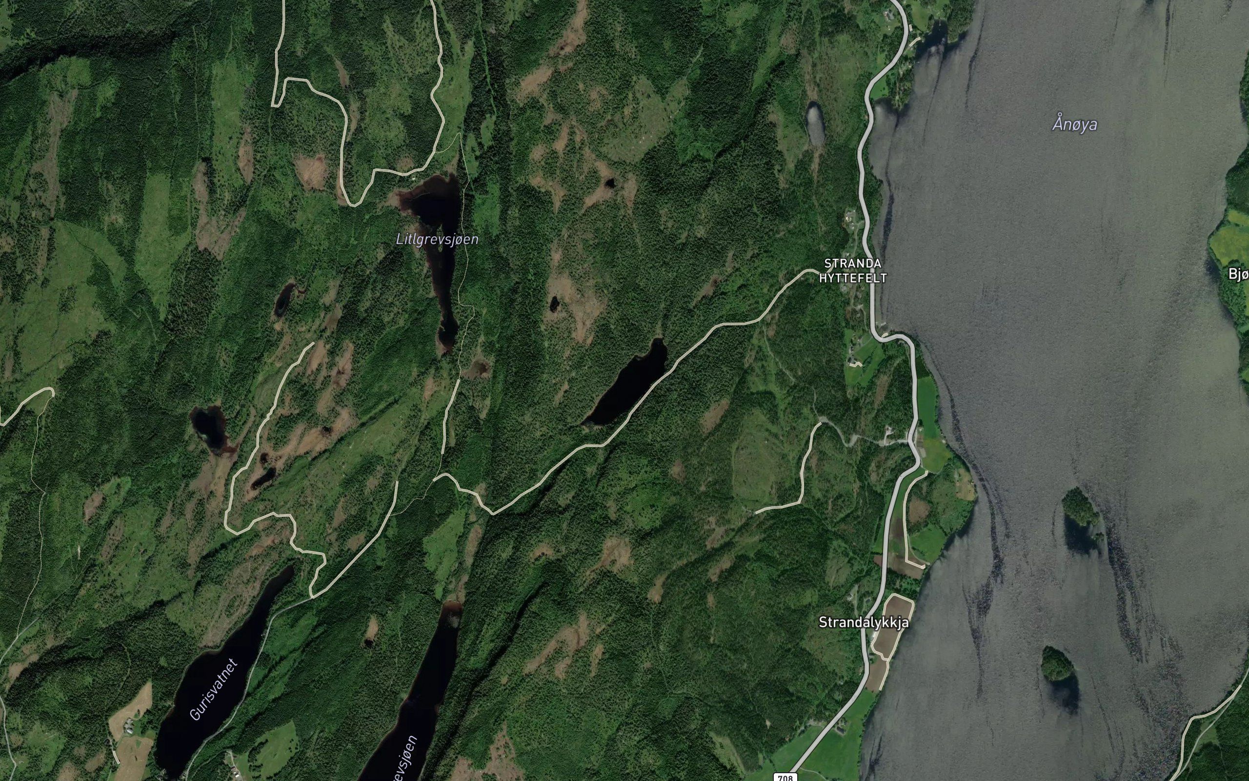 Sakstjorna