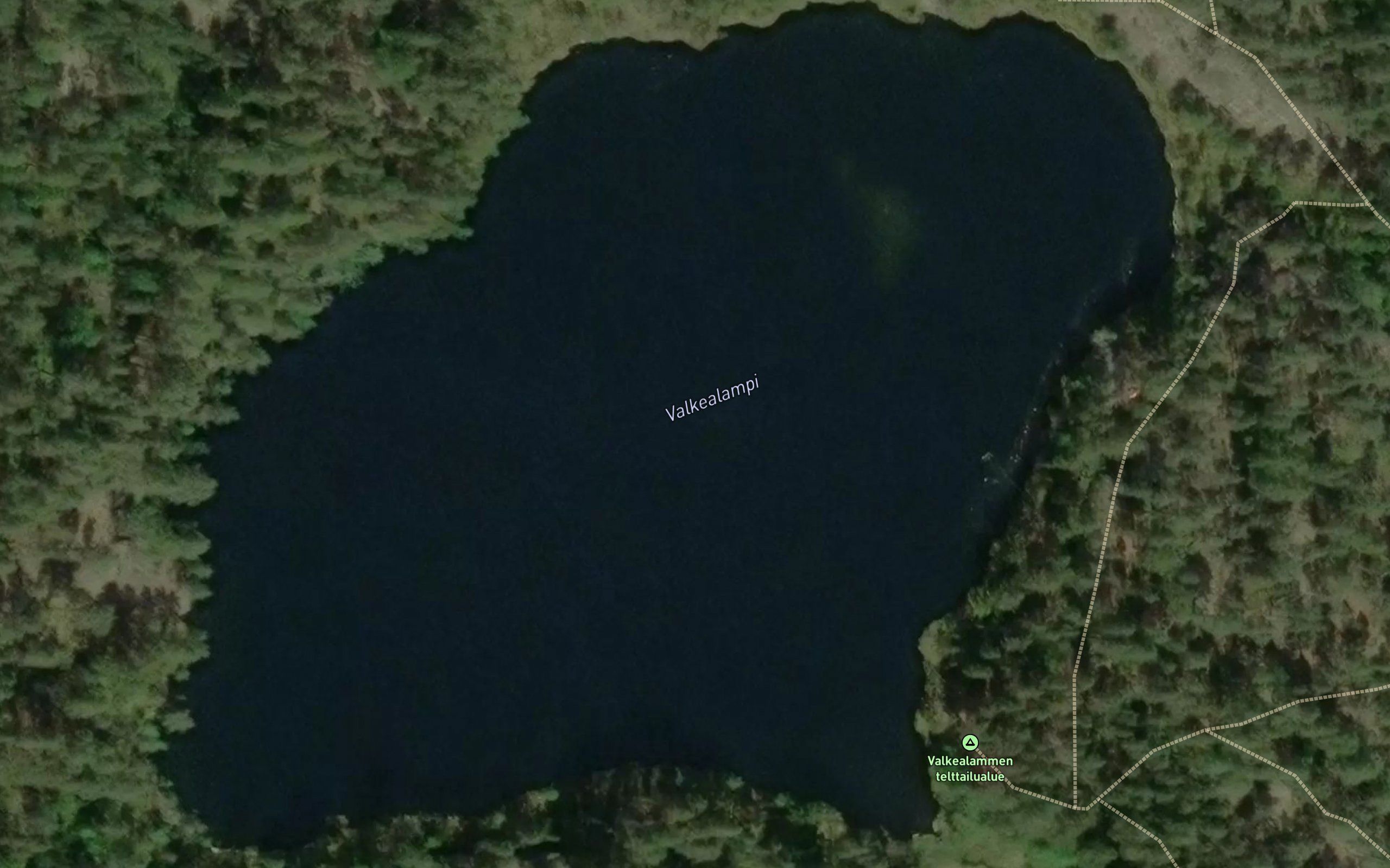 Valkealampi