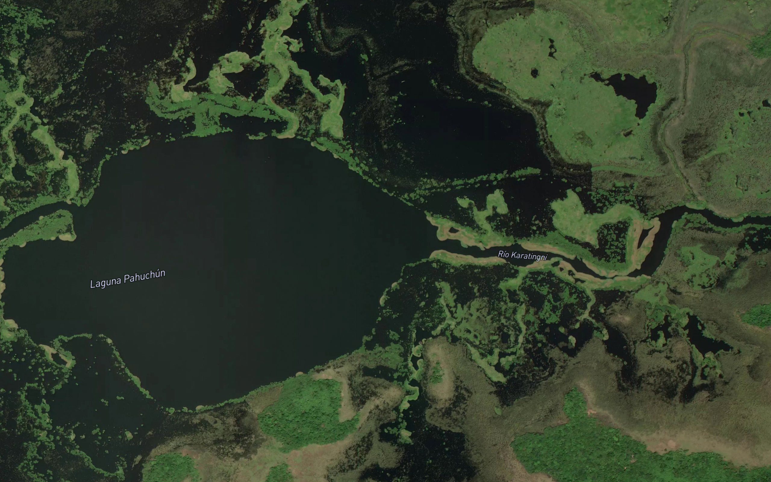 Laguna Pahuchun