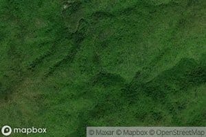 North Fork Citico Creek