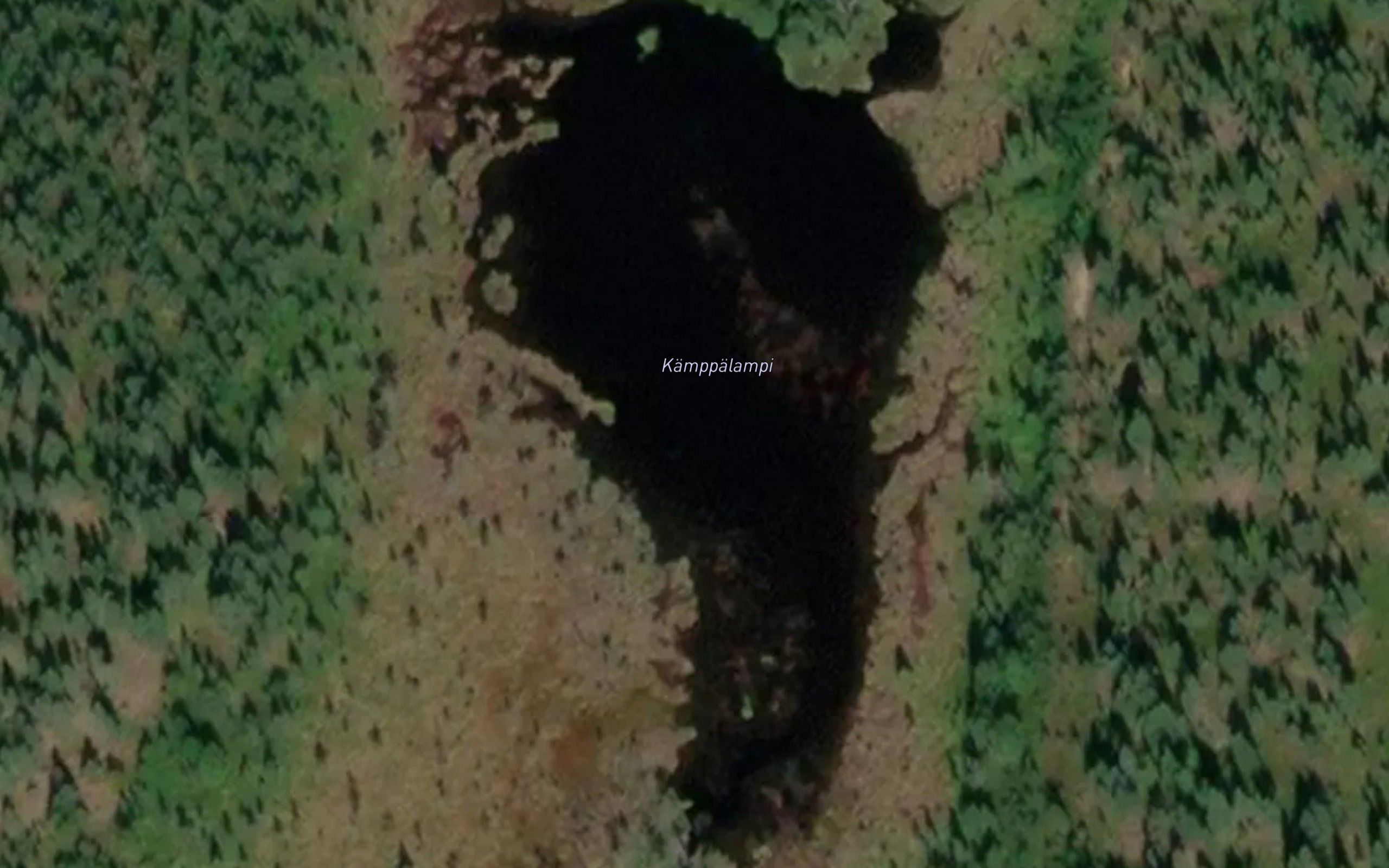 Kamppalampi