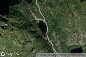 Fosstjorn