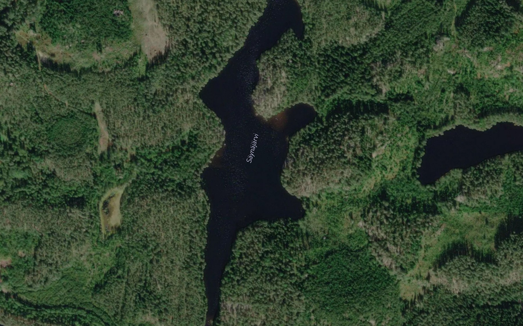 Satellite map of the Saynajarvi