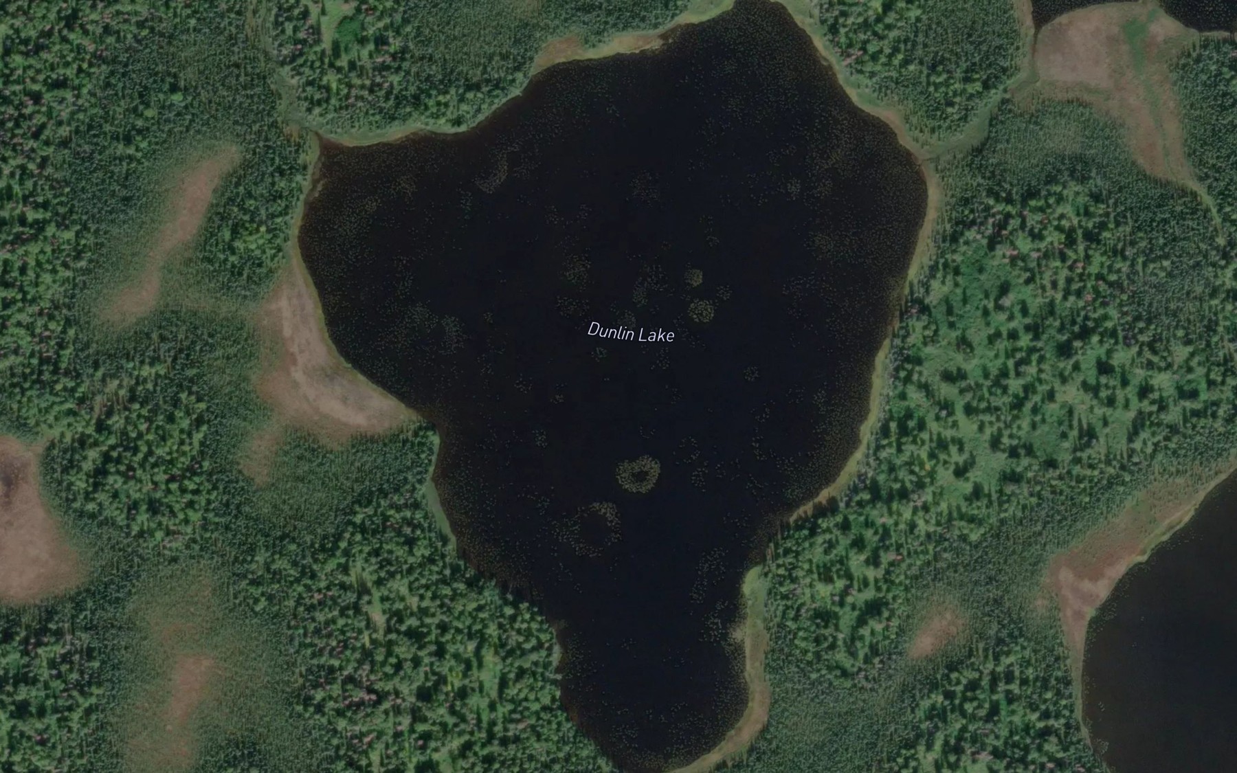 Satellite map of the Dunlin Lake