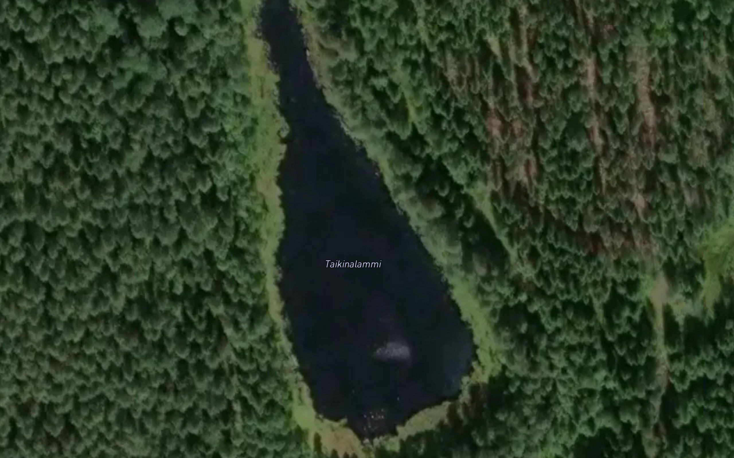Taikinalammi