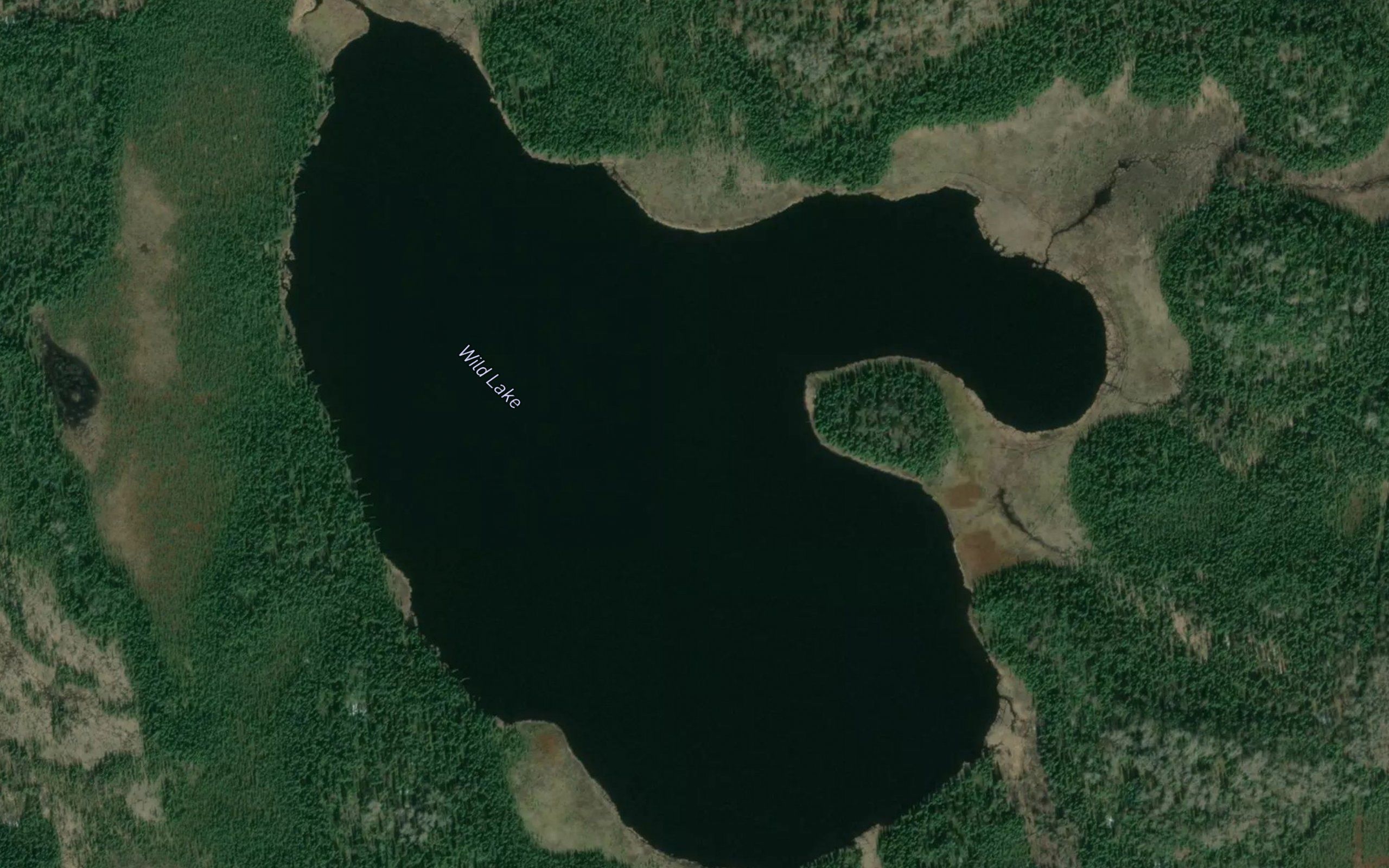 Wild Lake