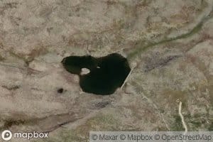 Vikateppingi