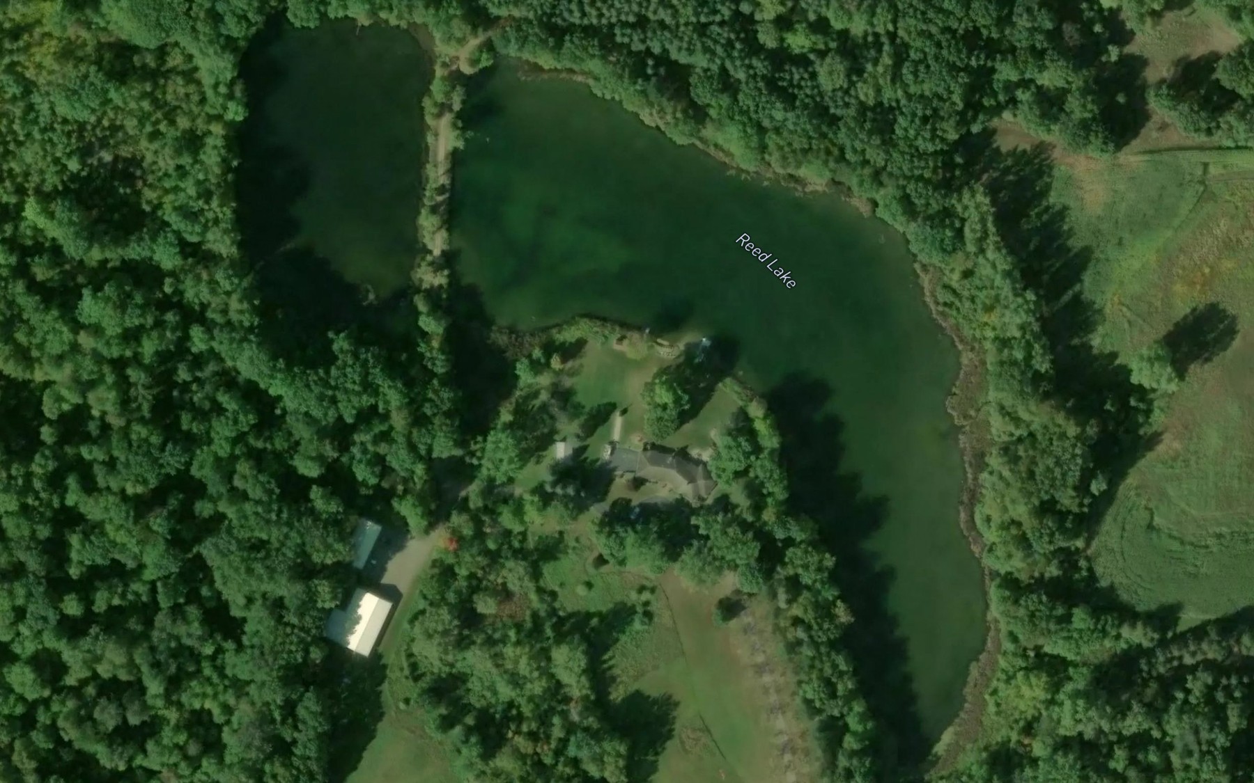 Satellite map of the Reed Lake