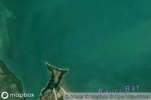 Kauri Bay