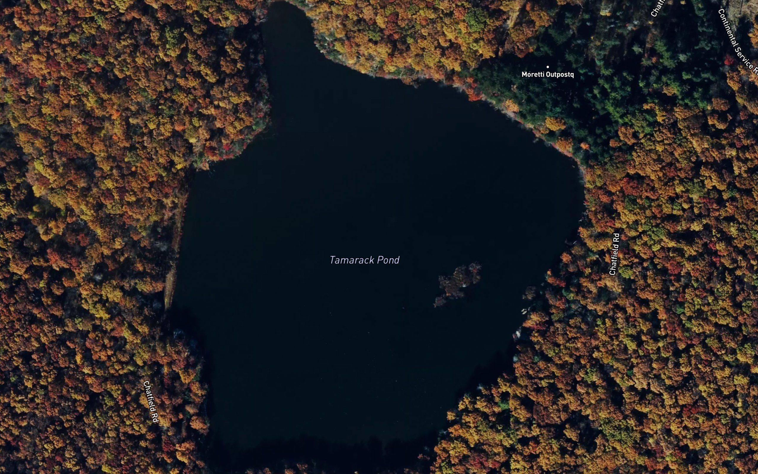 Tamarack Pond