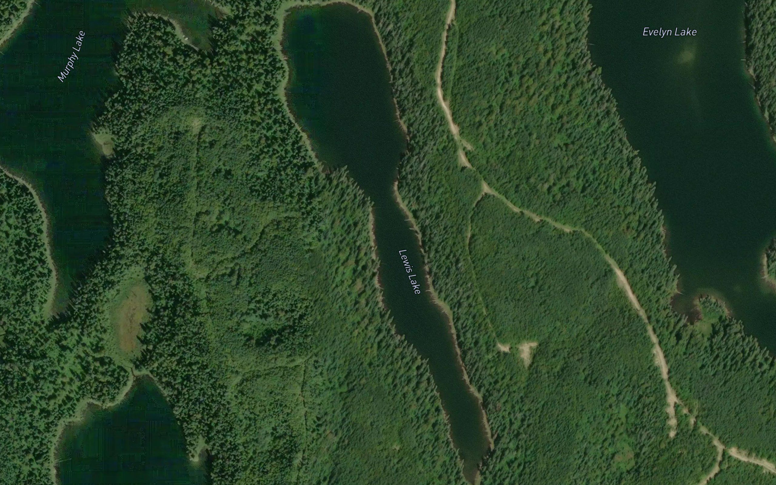Lewis Lake
