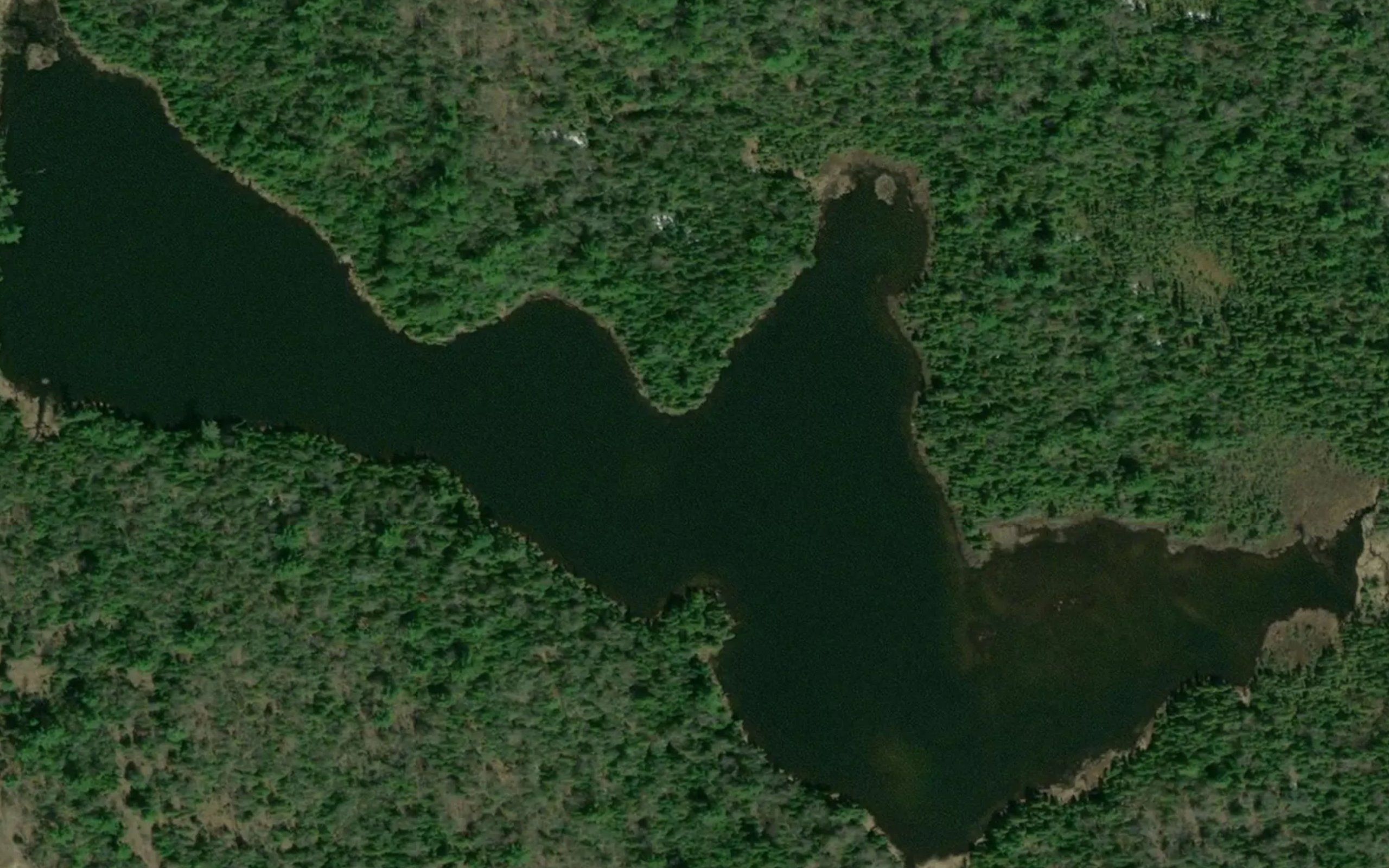 Lac Ralph
