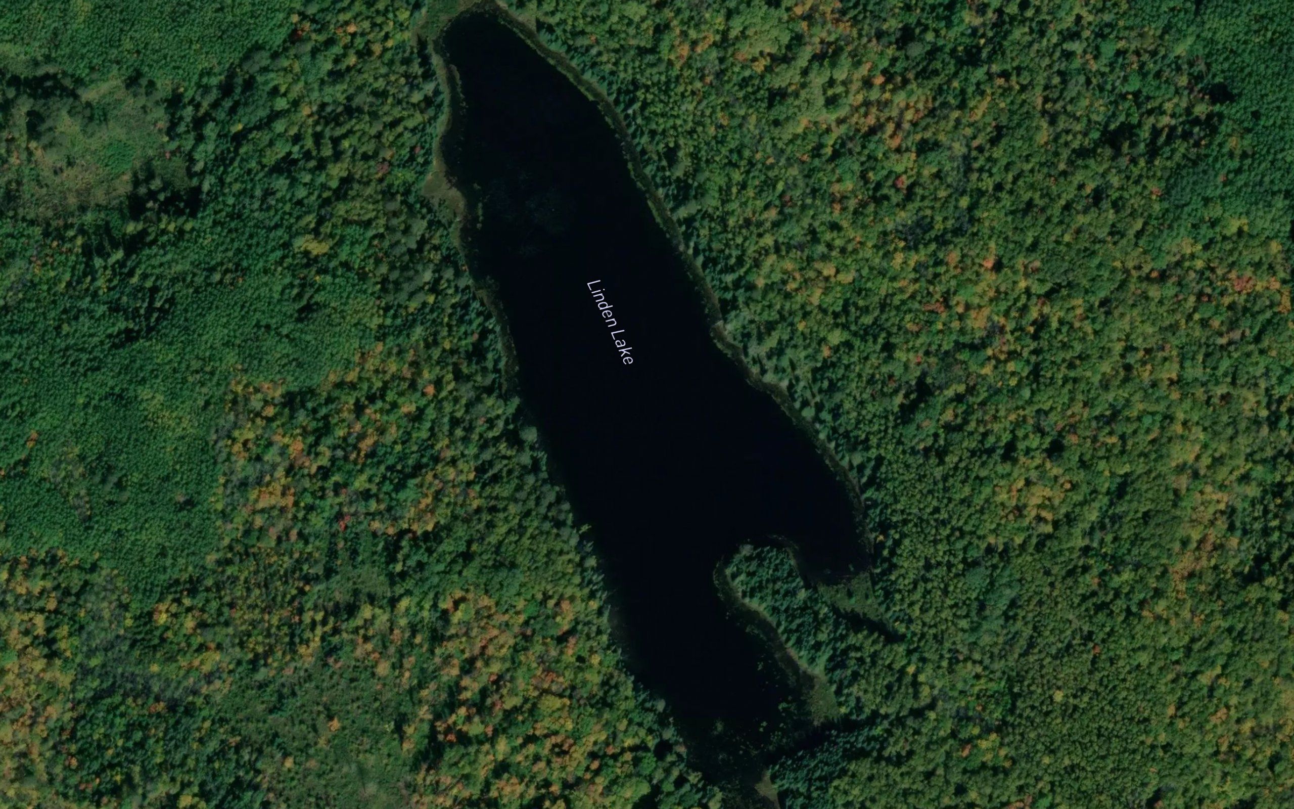 Linden Lake