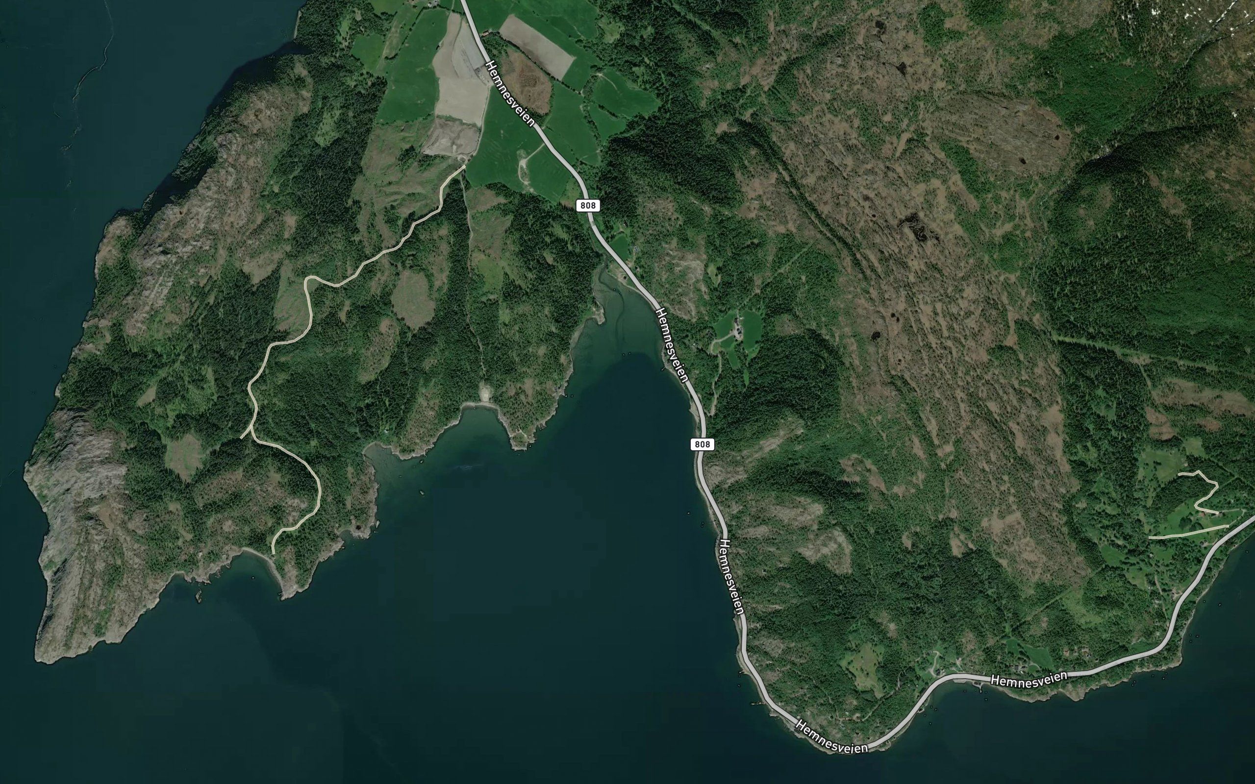 Gangvika