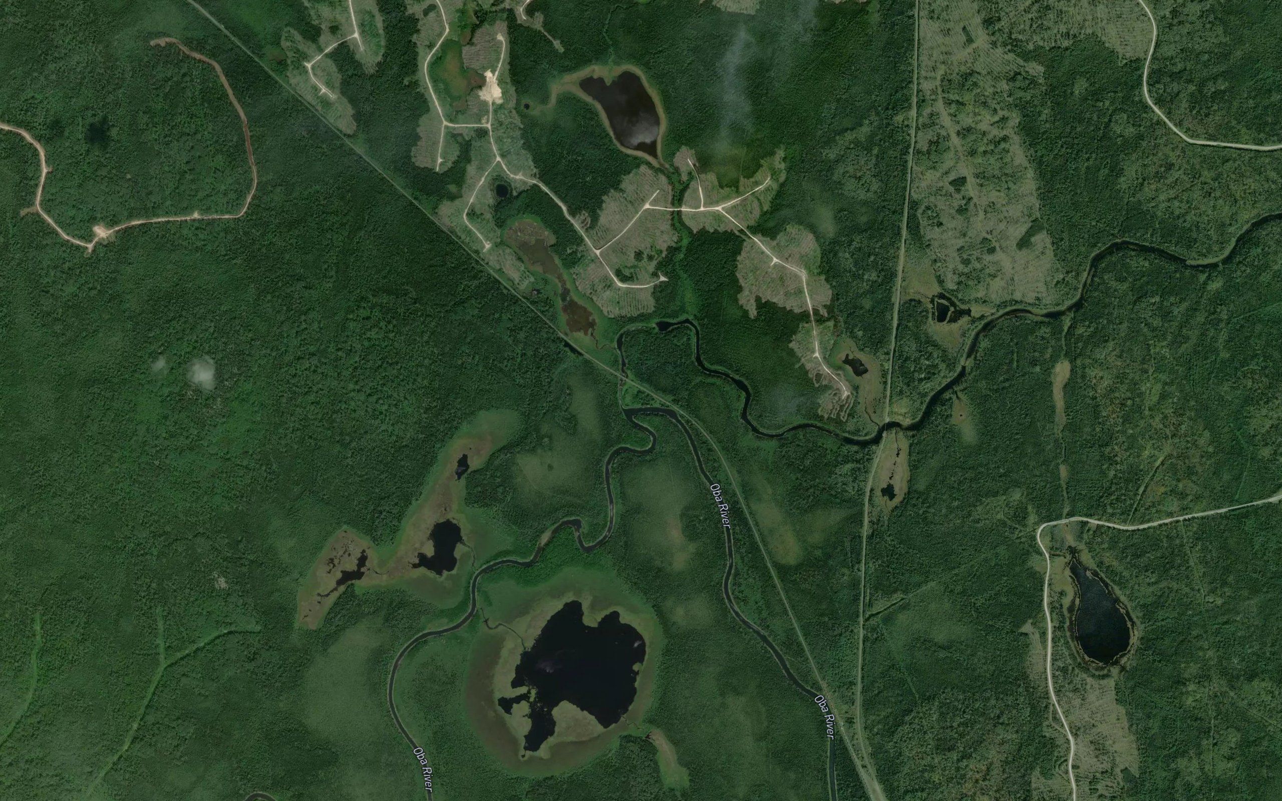Albany Forks