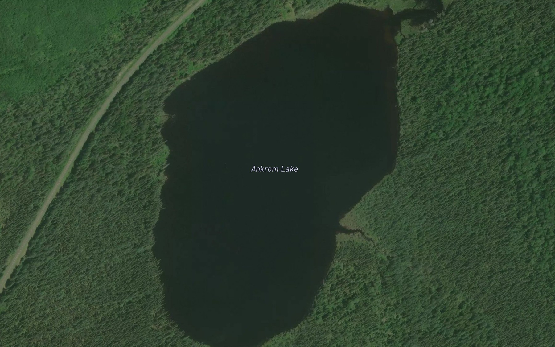 Satellite map of the Ankrom Lake