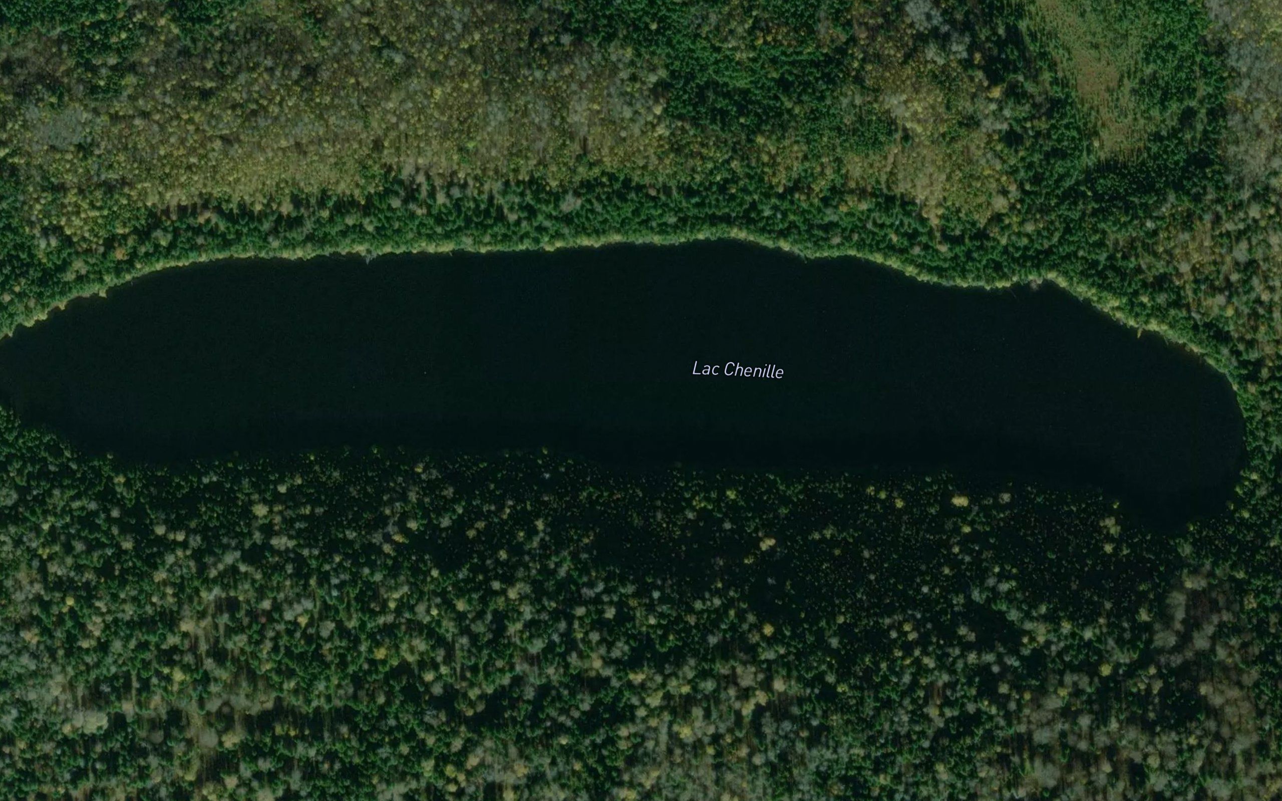 Lac Chenille