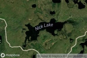Nick Lake