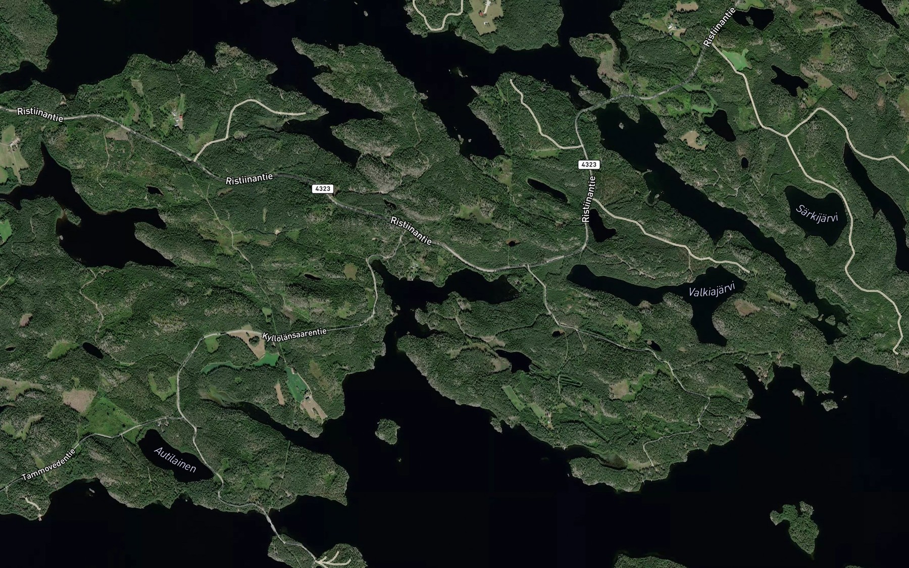 Satellite map of the Puskinlahti