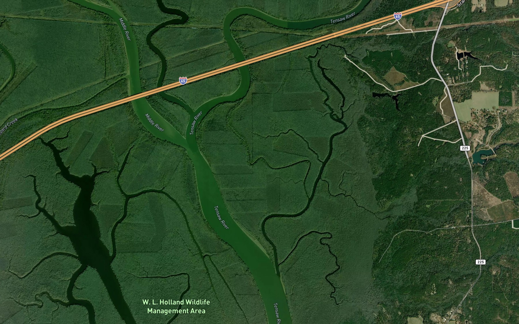 Satellite map of the The Cutoff