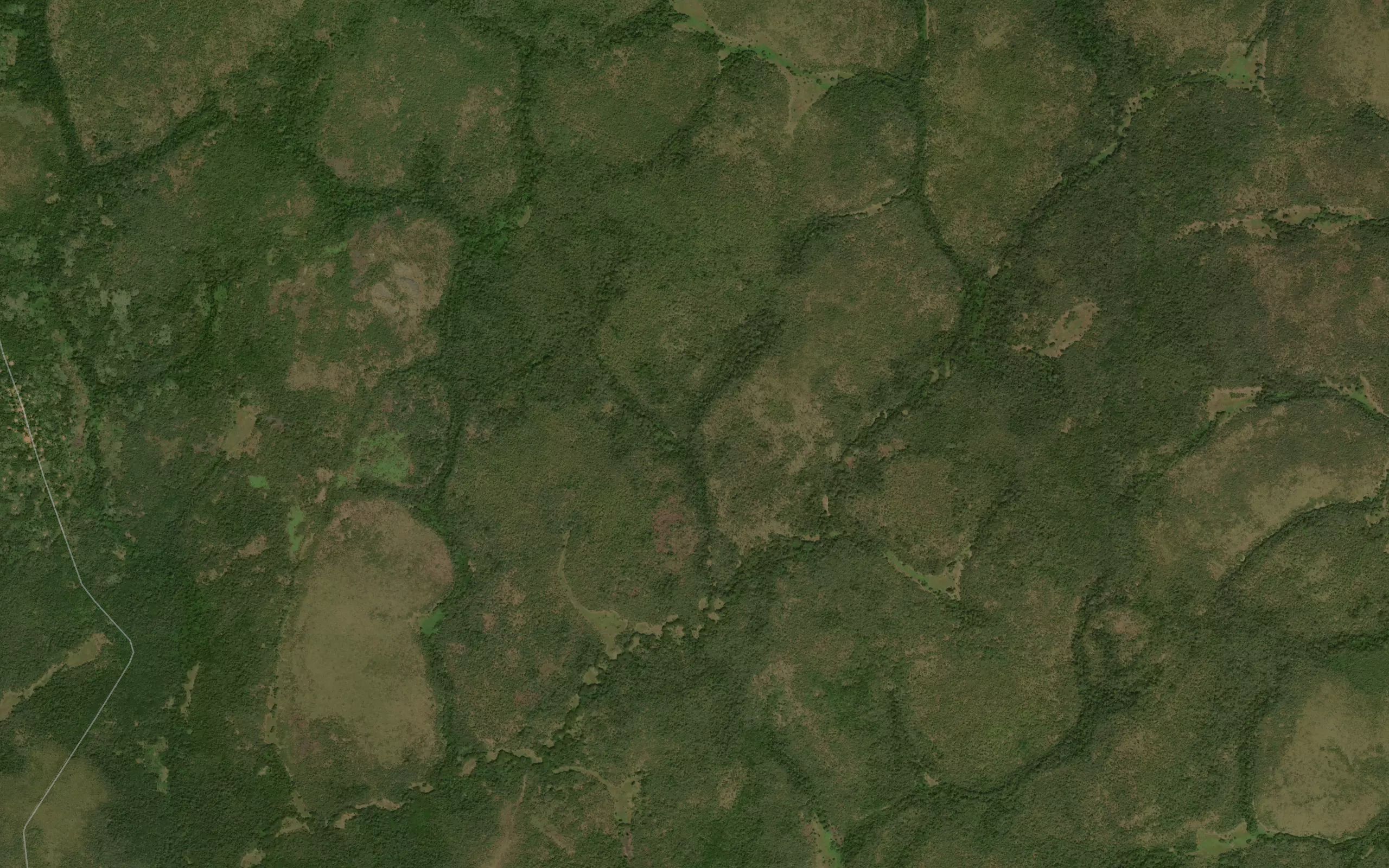 Maziazia